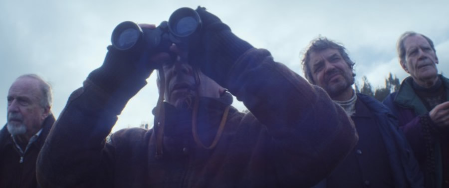 Una manada de osos de la 65 Berlinale para el cine iberoamericano