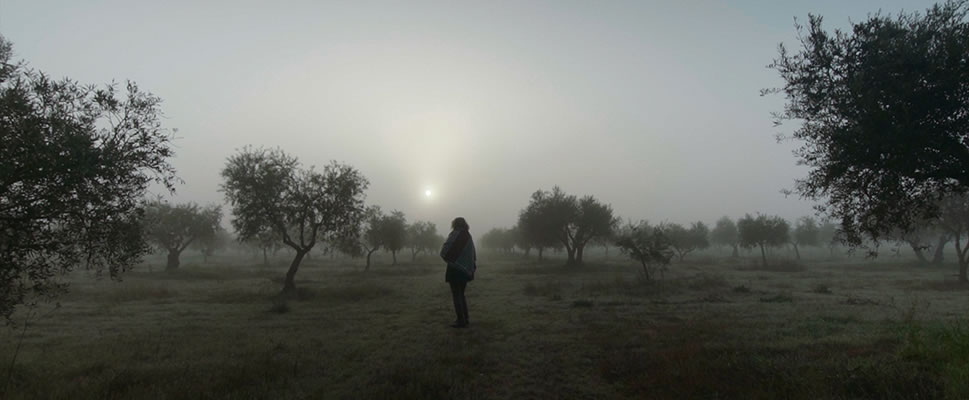 TRAZOS DEL ALMA