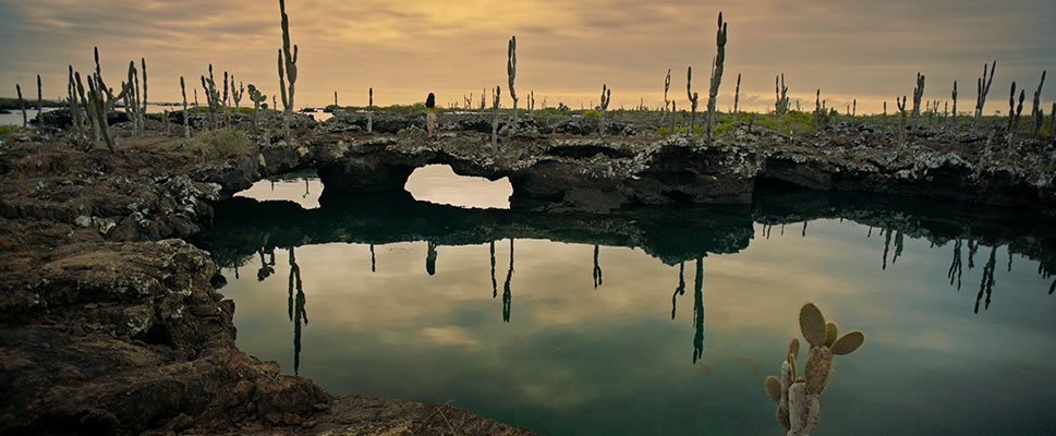 LA INVENCIN DE LAS ESPECIES