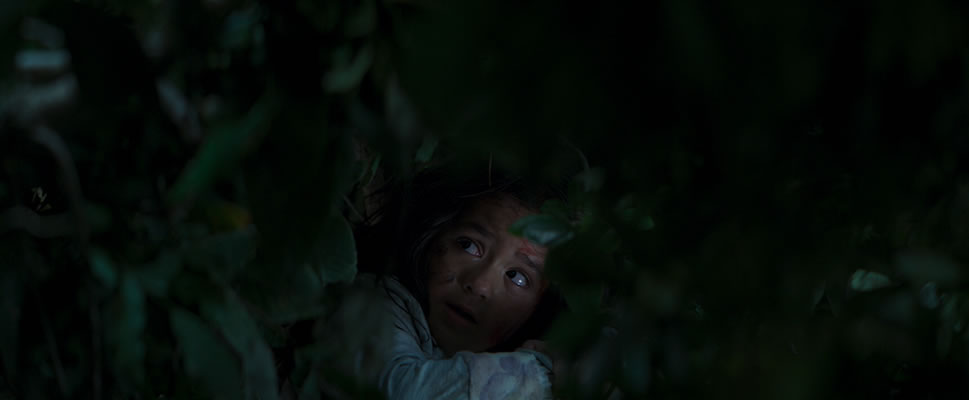 DESPIERTA MAM
