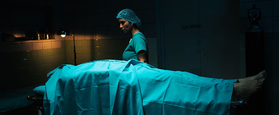 VIVO O MUERTO: EL EXPEDIENTE GARCA