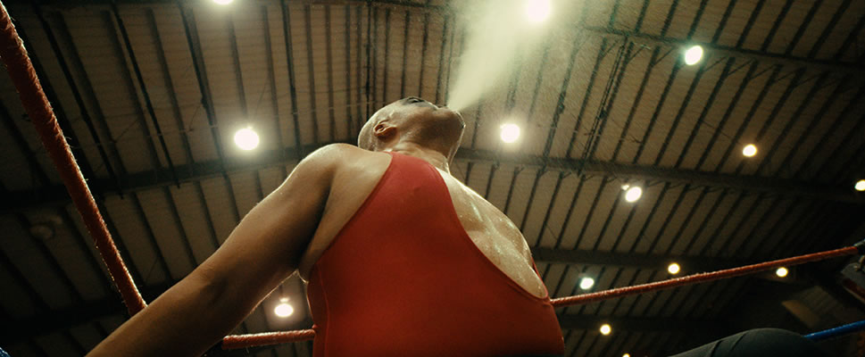 LAS SUPER ESTRELLAS DE LA LUCHA LIBRE