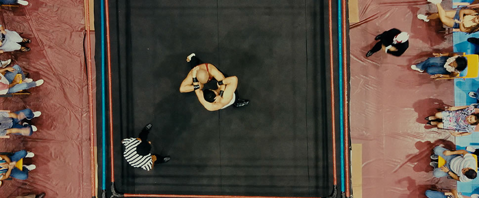 LAS SUPER ESTRELLAS DE LA LUCHA LIBRE