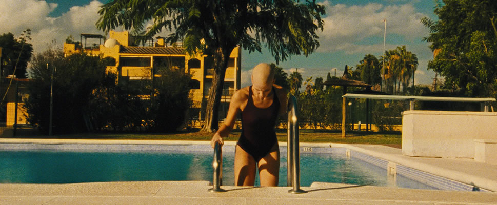 EL CIELO DE LOS ANIMALES