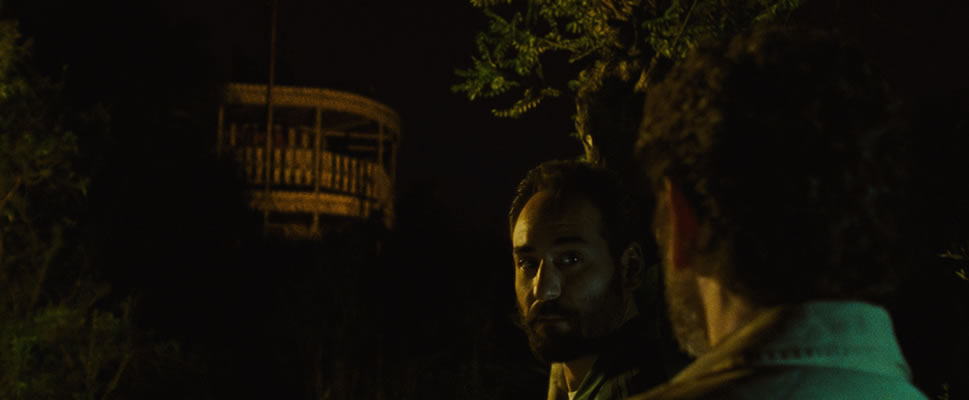 EL CIELO DE LOS ANIMALES