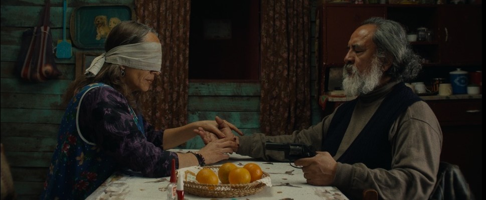 LA MISTERIOSA MIRADA DEL FLAMENCO