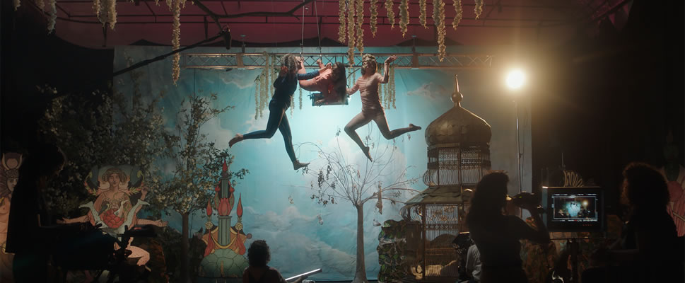 CAIGAN LAS ROSAS BLANCAS!