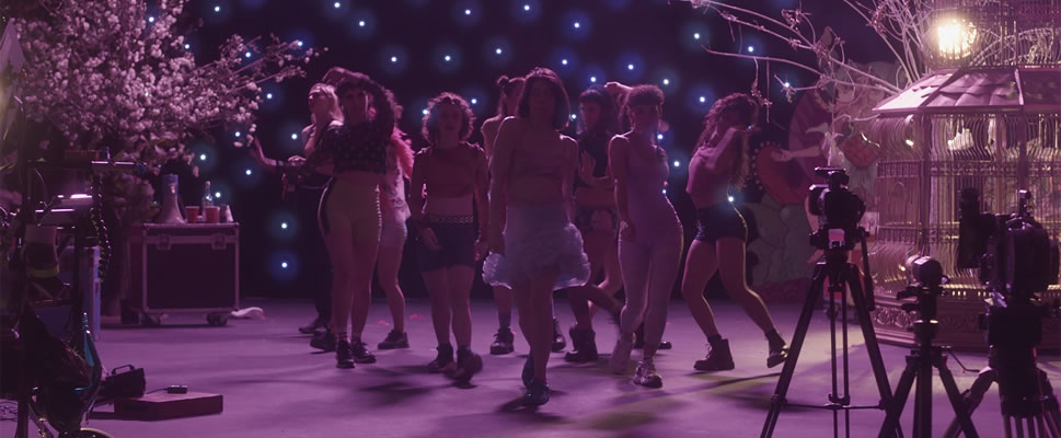 CAIGAN LAS ROSAS BLANCAS!