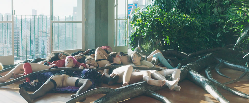 CAIGAN LAS ROSAS BLANCAS!