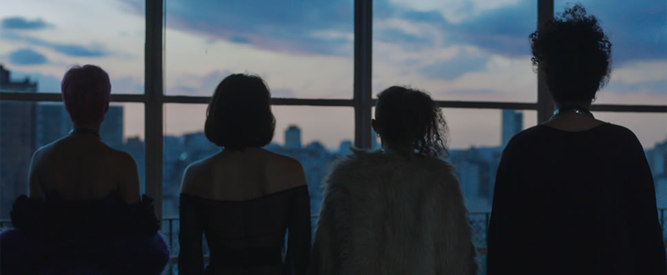 CAIGAN LAS ROSAS BLANCAS!