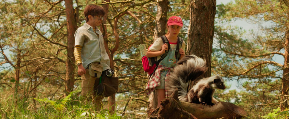 CAMPAMENTO GARRA DE OSO