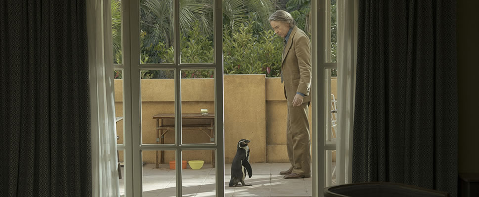 LO QUE APREND DE MI PINGINO