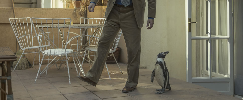 LO QUE APREND DE MI PINGINO