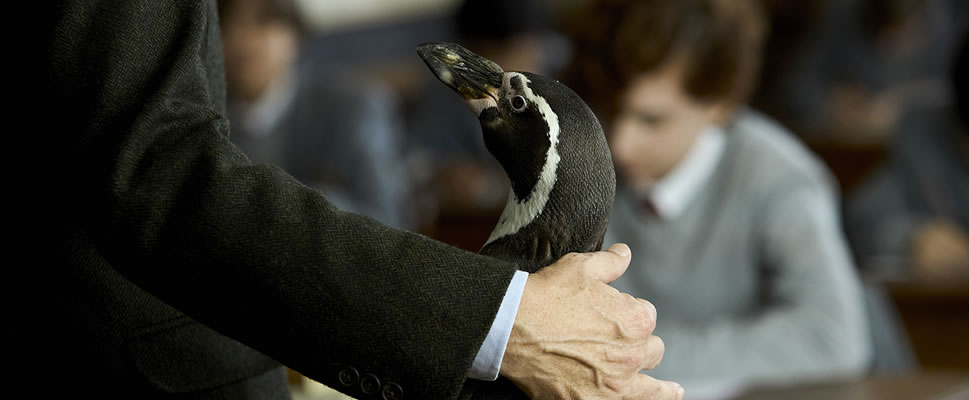 LO QUE APREND DE MI PINGINO