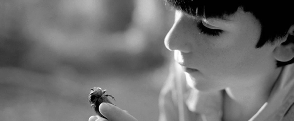 LIMPULS NMADA (EL IMPULSO NMADA)