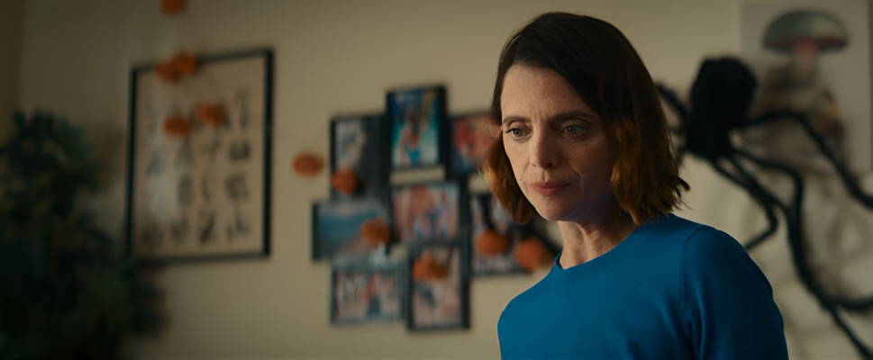 HISTORIAS DE HALLOWEEN