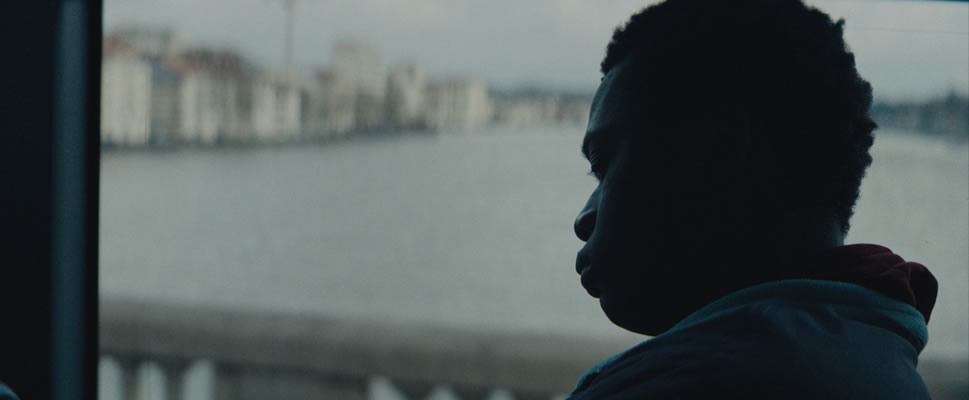 FAISAIEN IRLA. LA ISLA DE LOS FAISANES