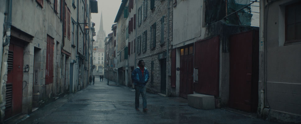 FAISAIEN IRLA. LA ISLA DE LOS FAISANES