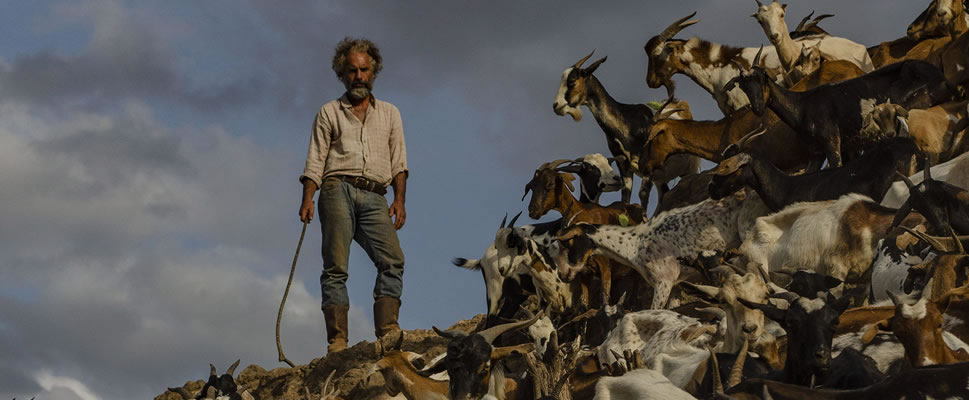 LA SOMBRA DEL CATIRE