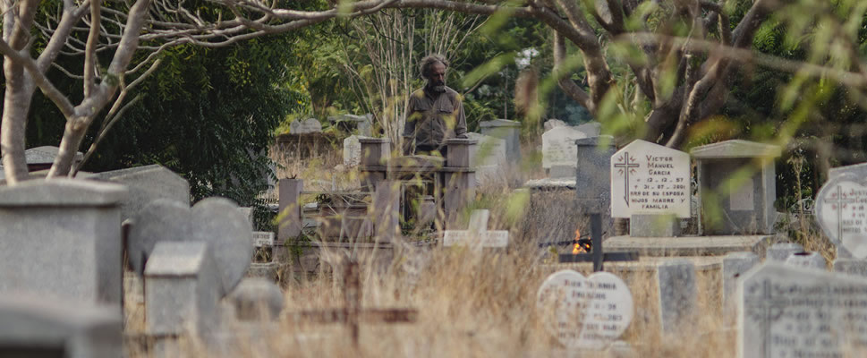 LA SOMBRA DEL CATIRE