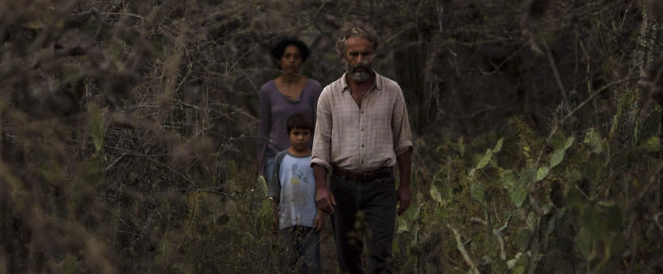 LA SOMBRA DEL CATIRE