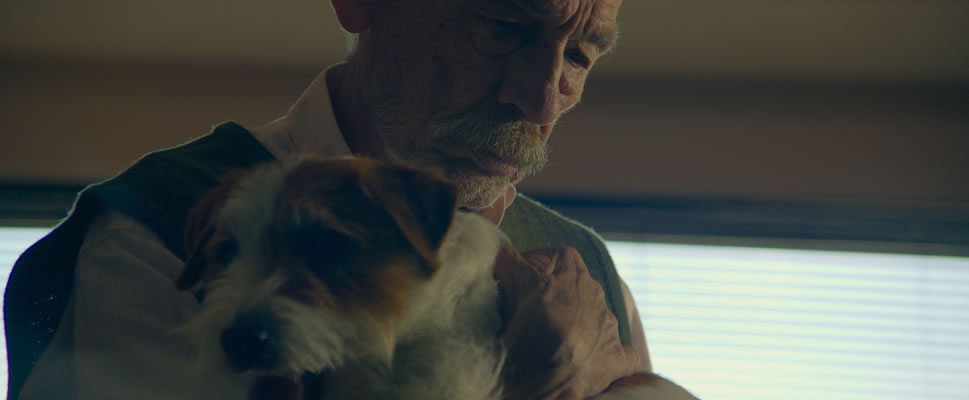 A MEM�RIA DO CHEIRO DAS COISAS