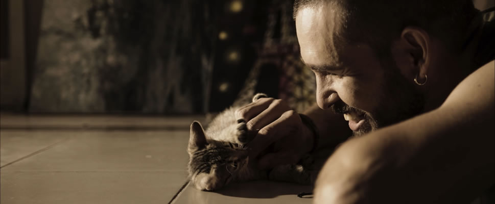 5 HISTORIAS DE AMOR Y UN BOLER�N DESESPERADO