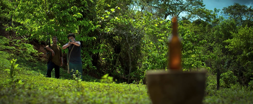 EL CORAZ�N DEL LOBO