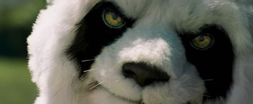 UNA PISTOLA, UNA BALA Y UN OSO PANDA