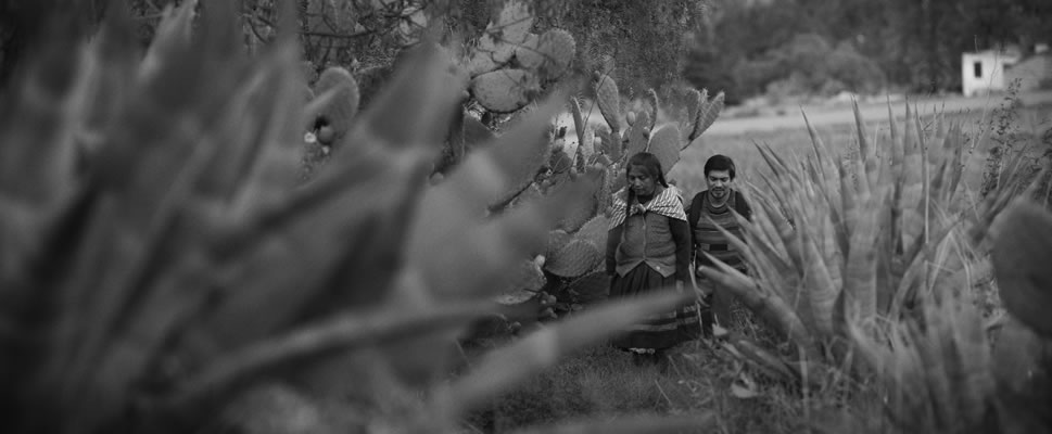 �LBUM DE FAMILIA