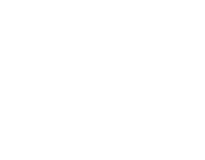PLATINO TRAINING
