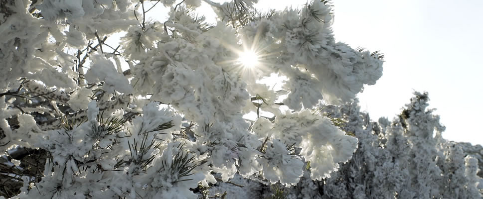 AMAGINEA, RETORNO A LA MADRE NATURALEZA