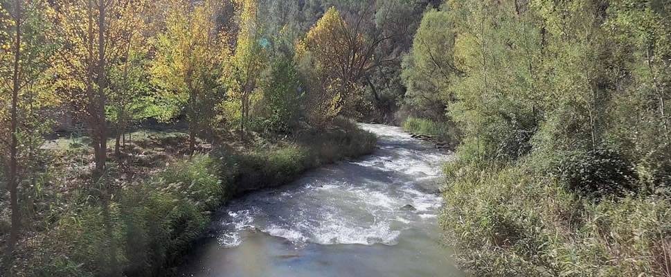 AMAGINEA, RETORNO A LA MADRE NATURALEZA