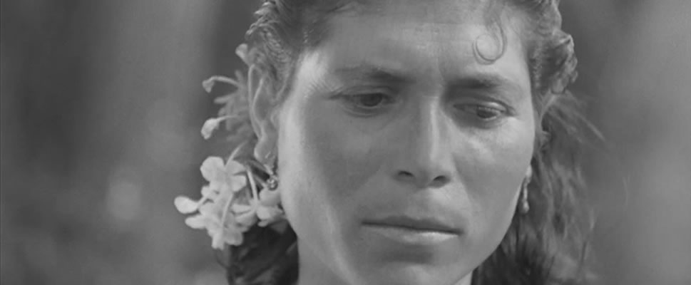 AGUAESPEJO GRANADINO